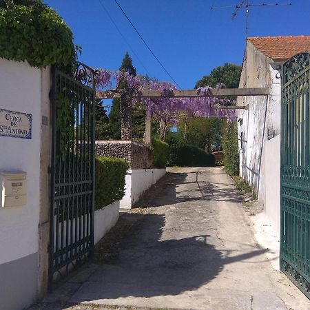 Affittacamere Casa Dos Arrabidos Torres Novas Esterno foto