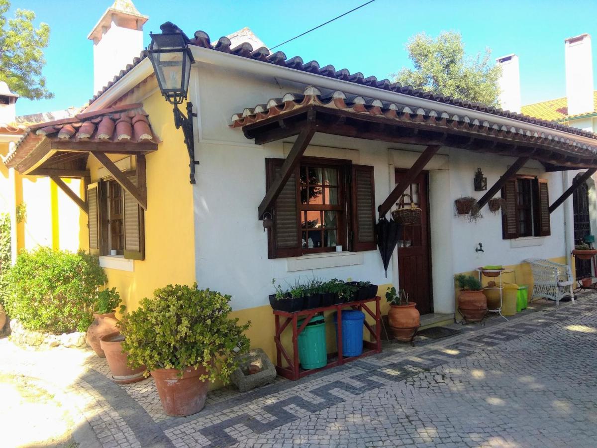 Affittacamere Casa Dos Arrabidos Torres Novas Esterno foto