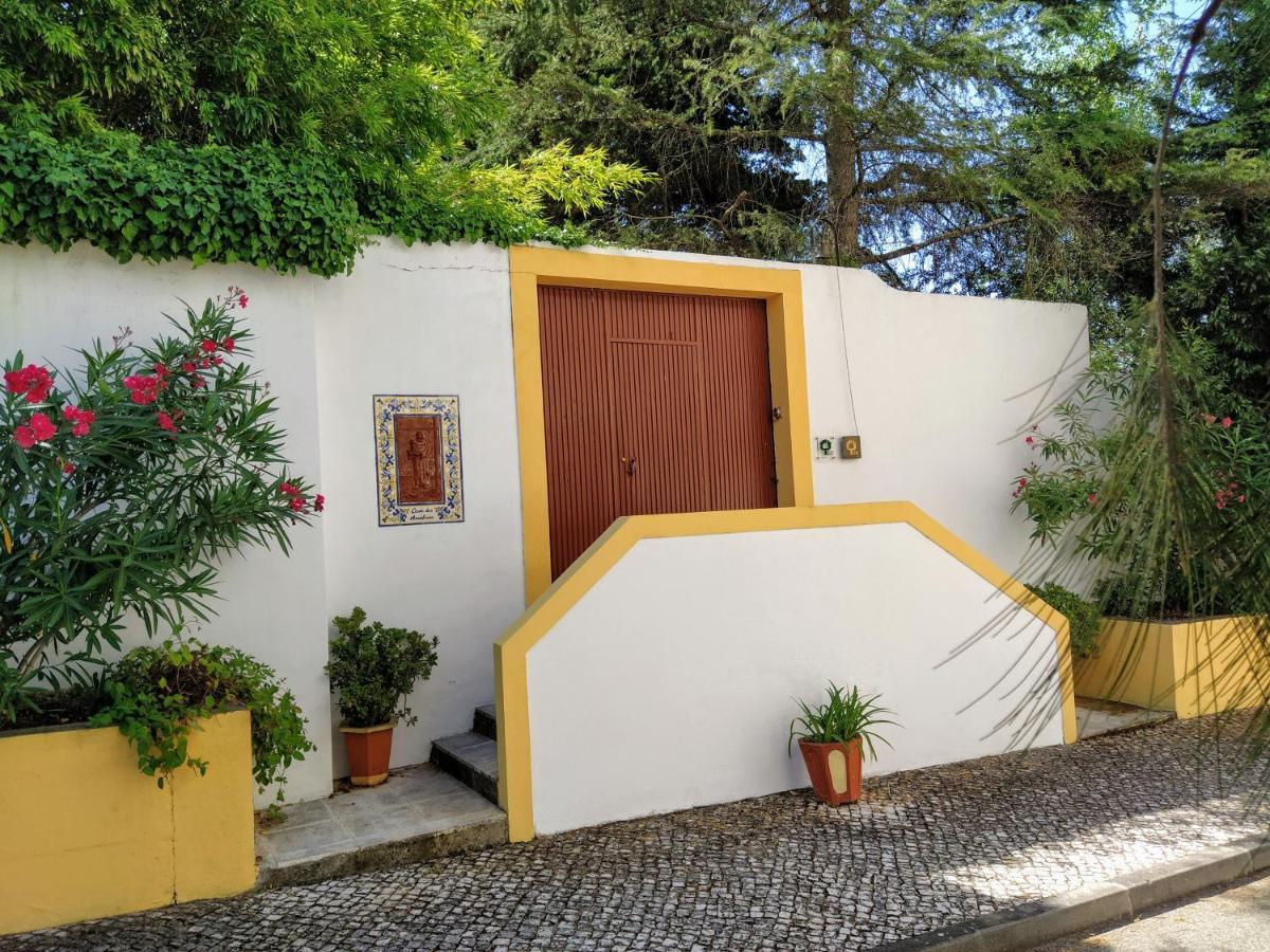 Affittacamere Casa Dos Arrabidos Torres Novas Esterno foto
