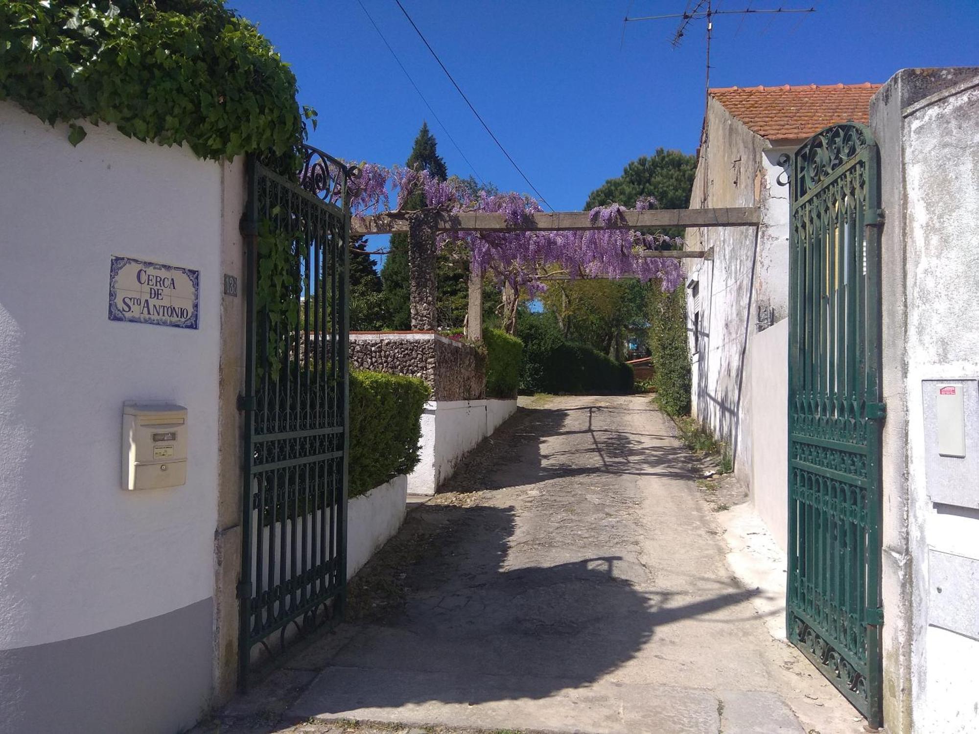 Affittacamere Casa Dos Arrabidos Torres Novas Esterno foto