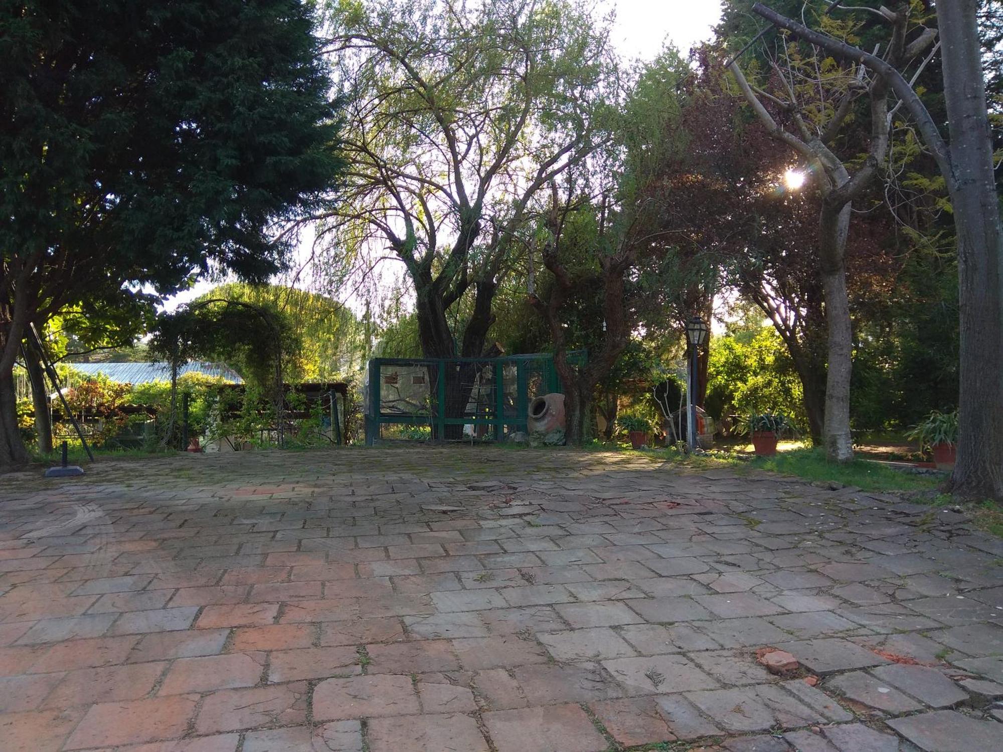 Affittacamere Casa Dos Arrabidos Torres Novas Esterno foto