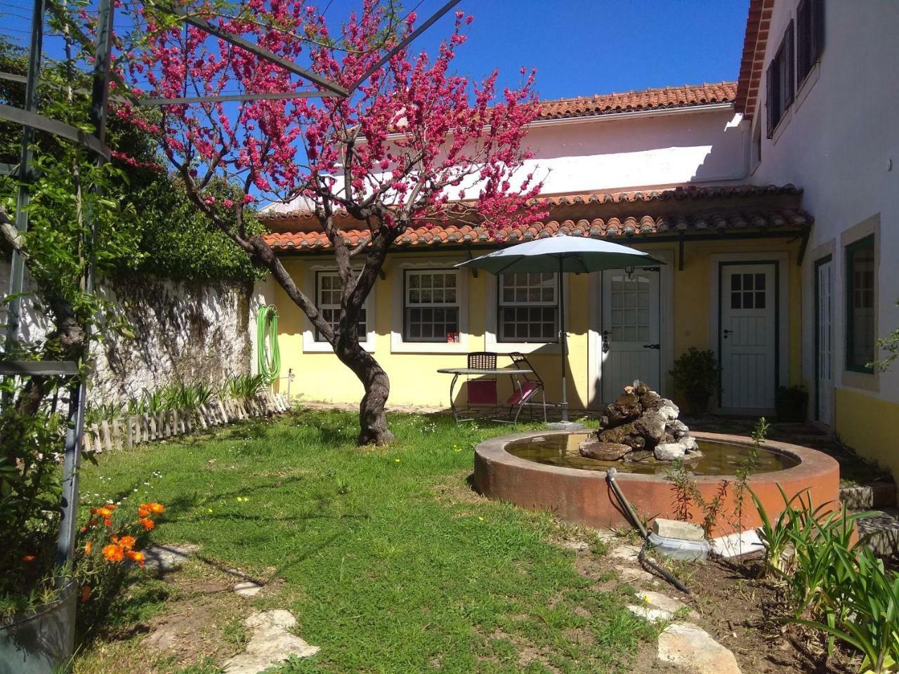 Affittacamere Casa Dos Arrabidos Torres Novas Esterno foto